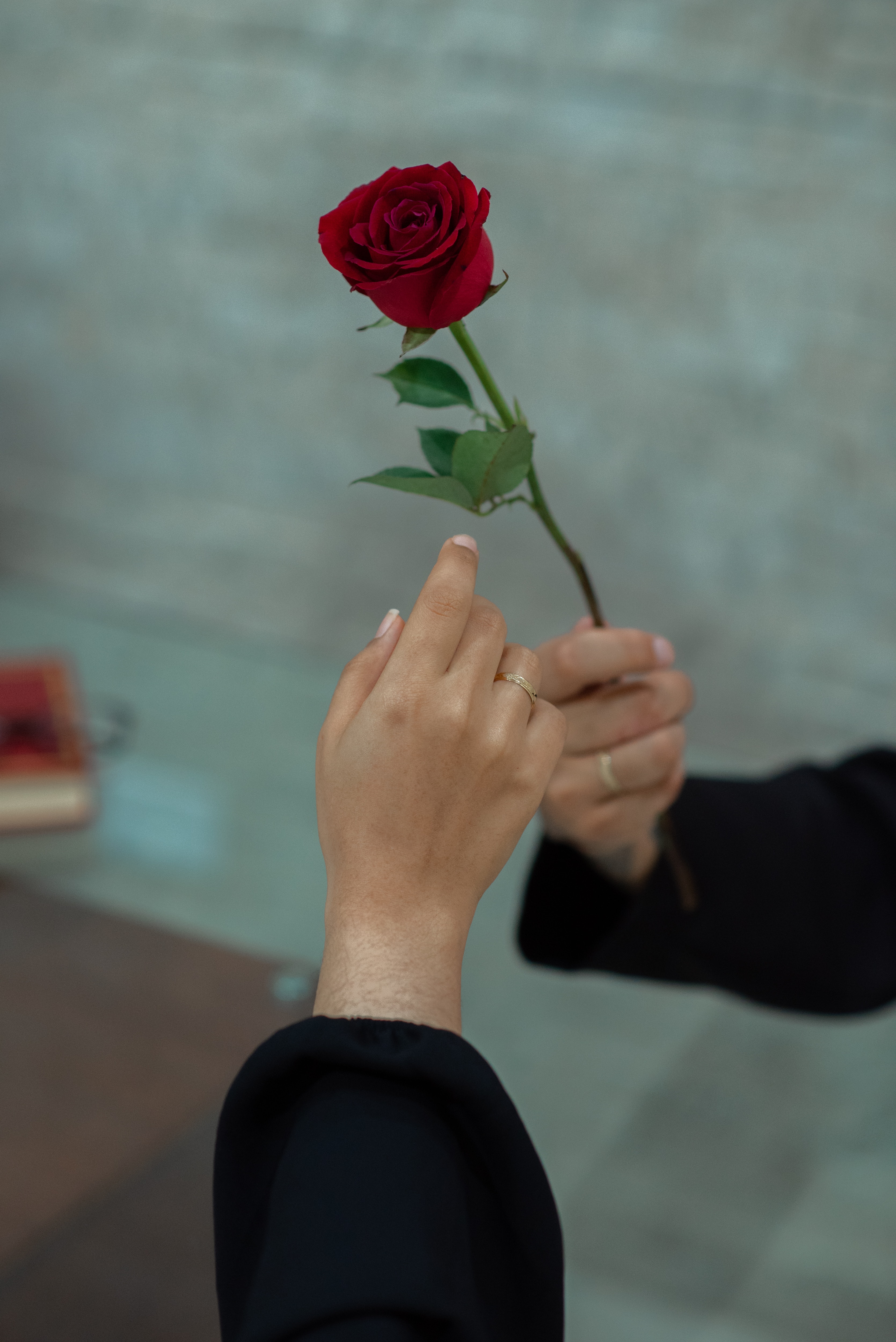 One individual handing a rose to another individual. | Source: Pexels