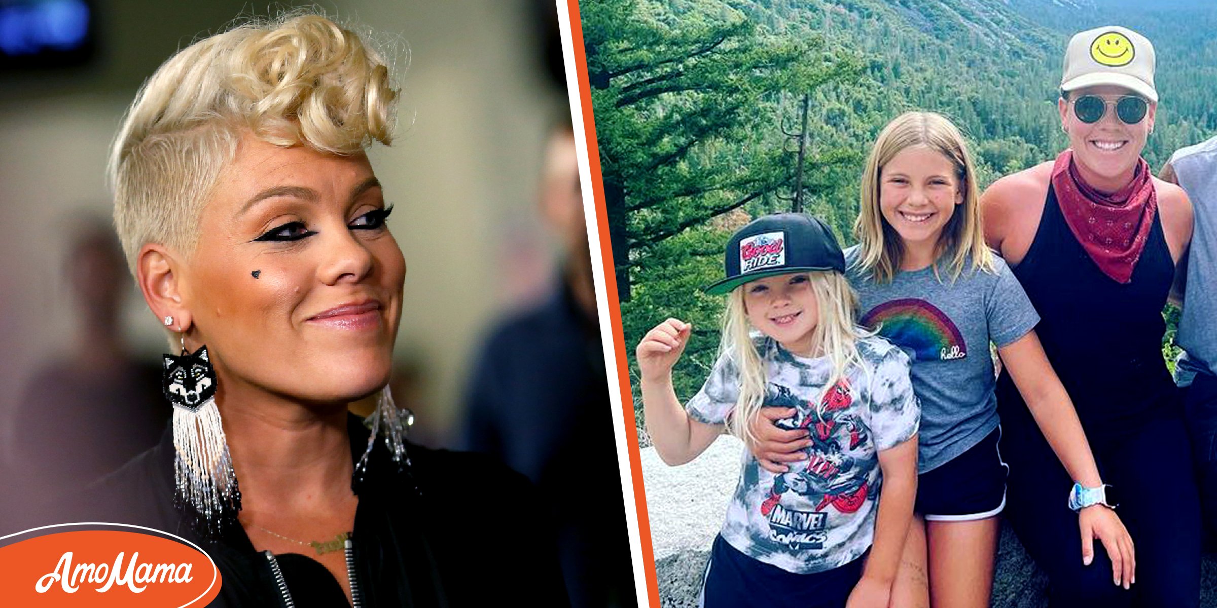 Pink’s Kids Get To Know the Singer’s Adorable Daughter Willow and Son