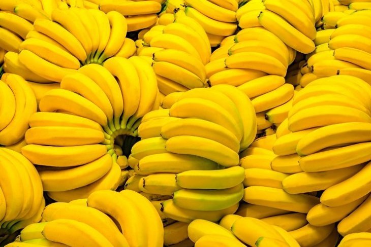Imagen tomada de: Shutterstock Imagen tomada de: Shutterstock