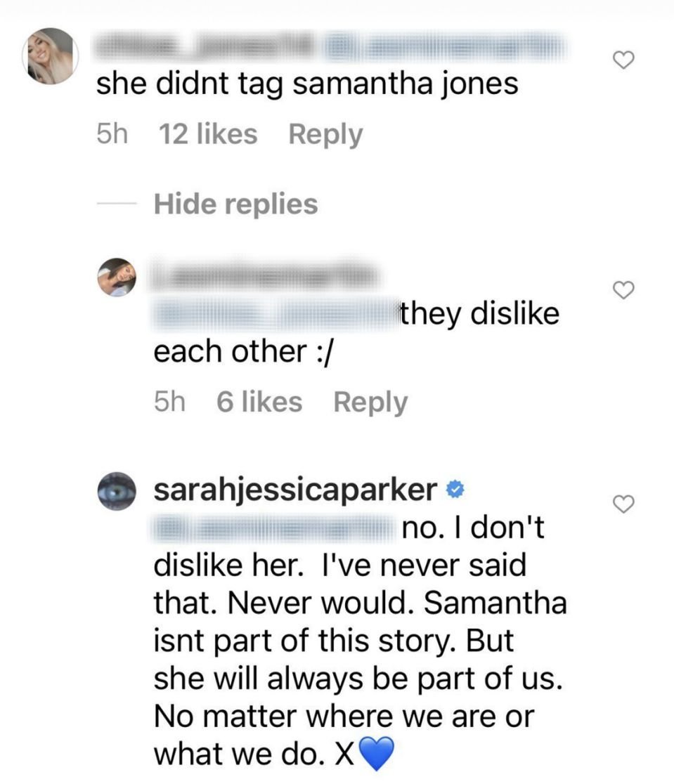 Sarah Jessica Parker responds to a comment stating that she and Kim Cattrall dislike each other on January 11, 2020. | Source: Instagram/sarahjessicaparker.