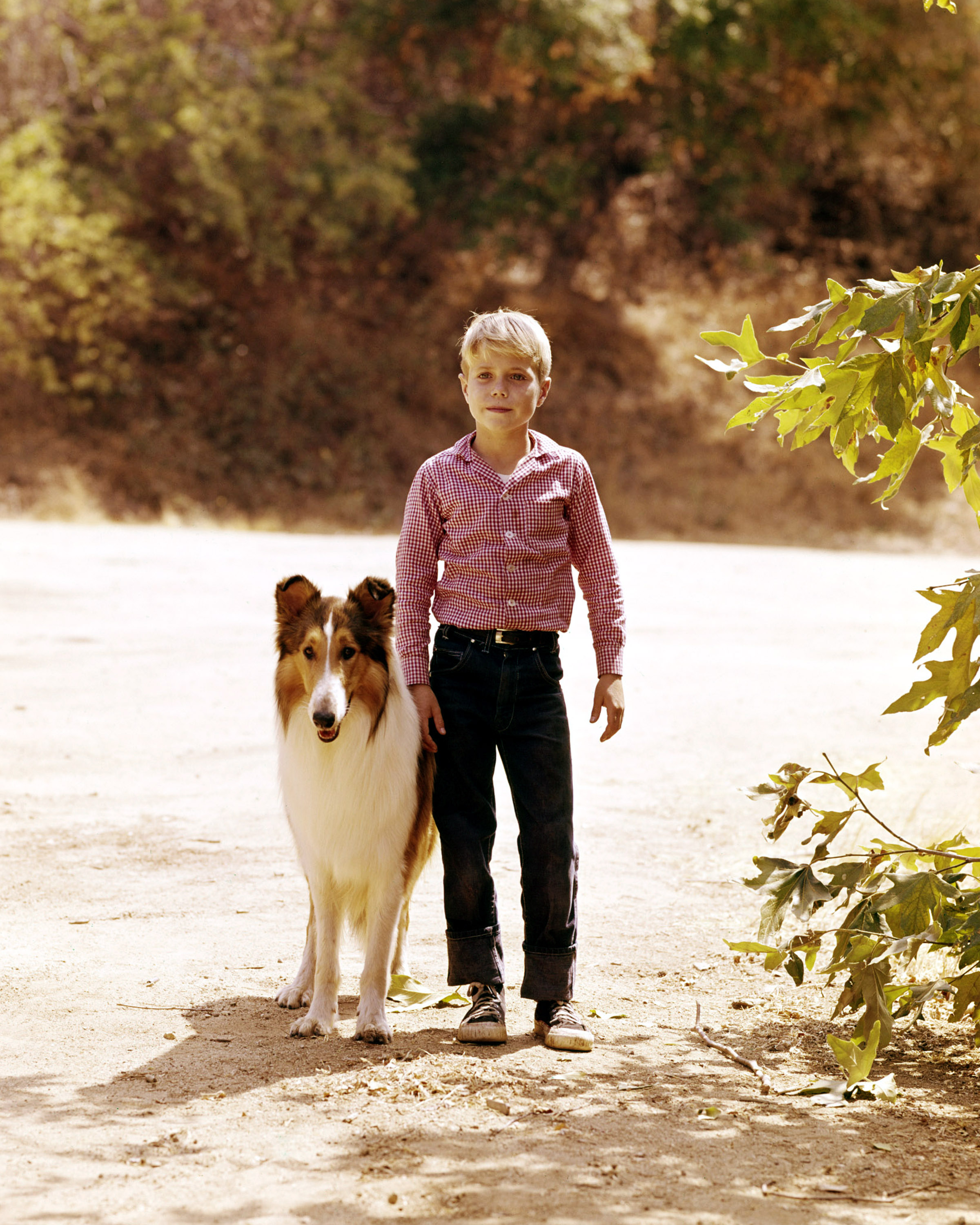 Lassie with Jon Provost in a publicity image for "Lassie," circa 1955 | Source: Getty Images