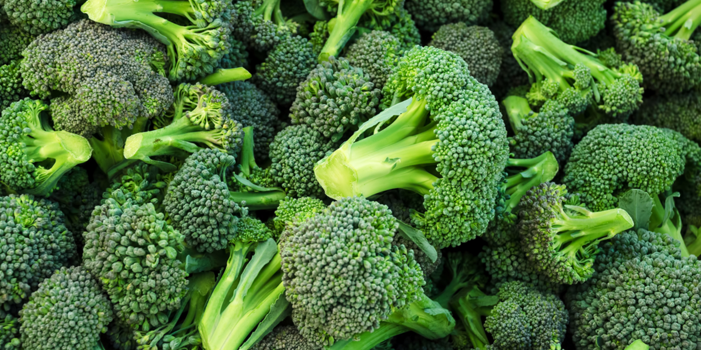 A mound of broccoli | Source: Shutterstock