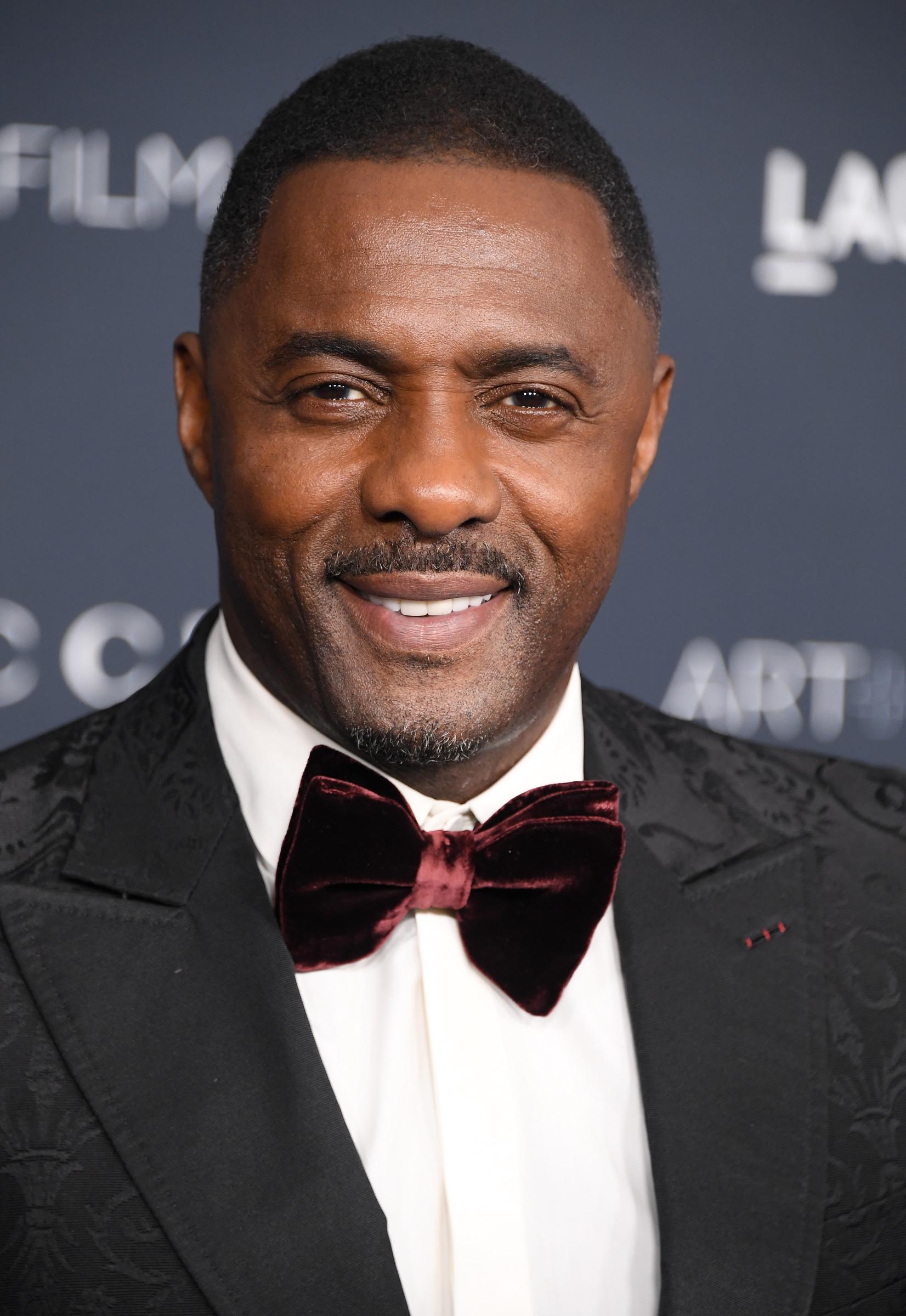 Idris Elba at Los Angeles County Museum of Art on November 5, 2022, in Los Angeles, California. | Source: Getty Images