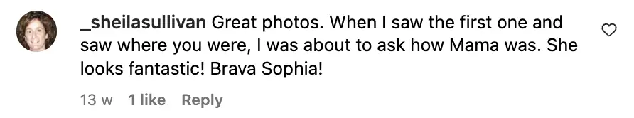 A fan comments on Sasha Alexander's Instagram post featuring Sophia Loren | Source: Instagram/sashaalexander