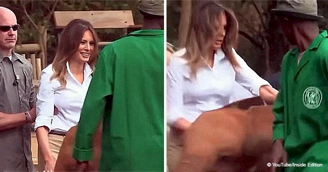 Breathtaking footage of Melania Trump being unexpectedly bumped by at least 500-pound baby elephant