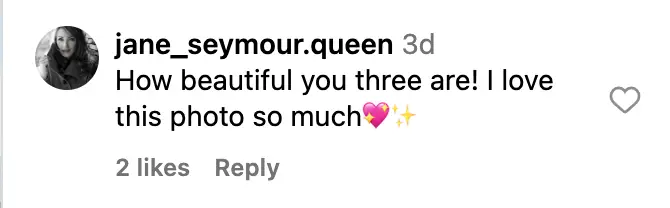 Fan comment dated October 2023 | Source: instagram.com/janeseymour