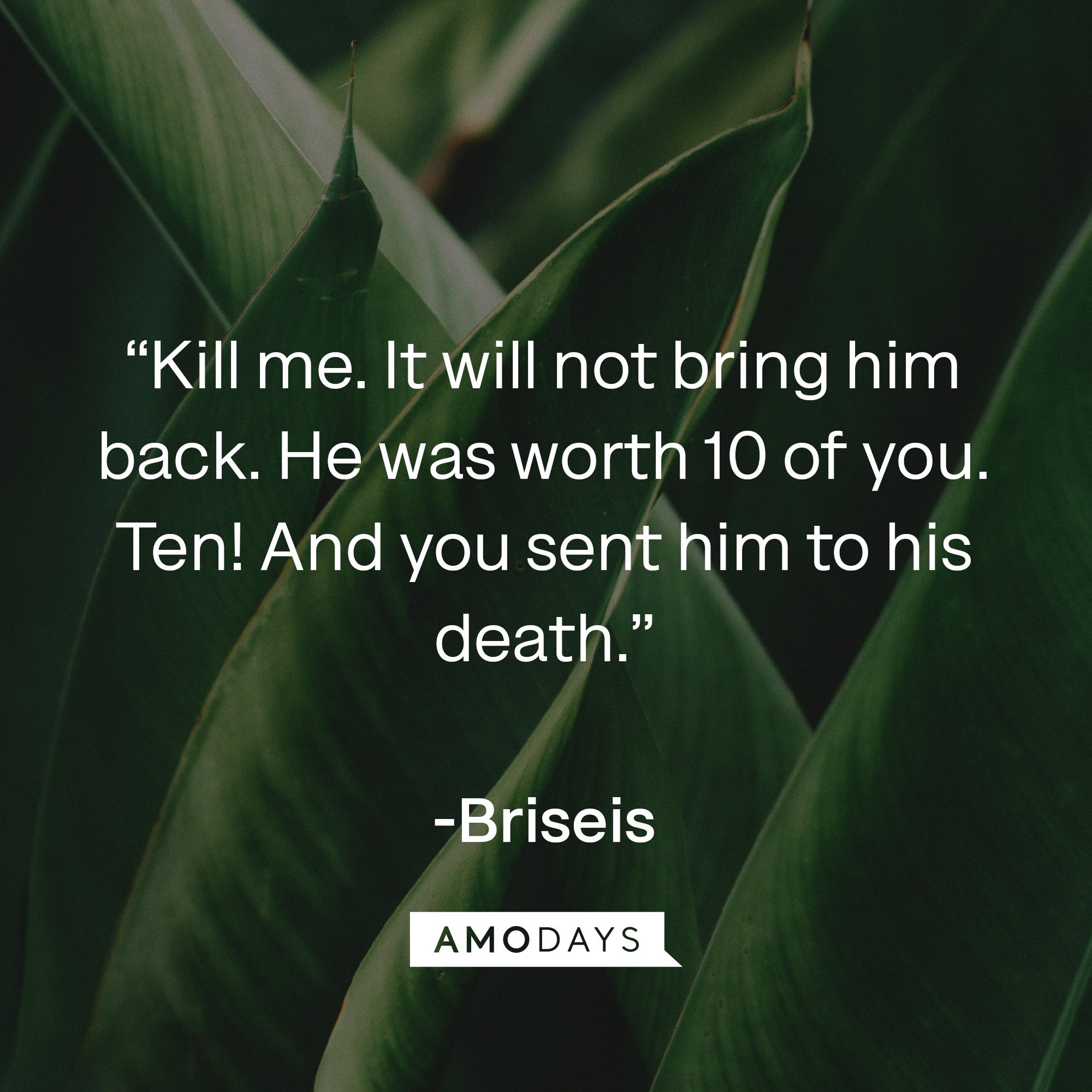 Briseis's quote: “Kill me. It will not bring him back. He was worth 10 of you. Ten! And you sent him to his death.” | Image: AmoDays
