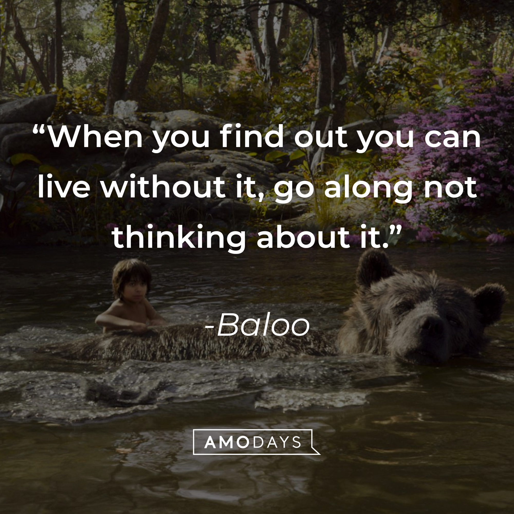 Baloo's quote: "When you find out you can live without it, go along not thinking about it." | Source: facebook.com/DisneyJungleBook