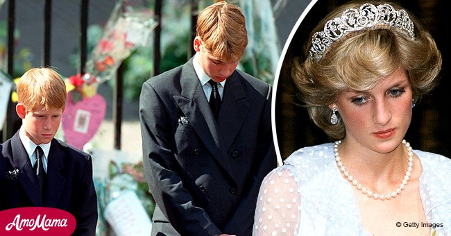 Prince Harry and Prince William Were Told Not to Cry – Look Back at ...