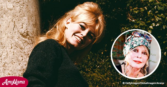 Remember Brigitte Bardot? Beauty icon is 84 years old now and she looks great