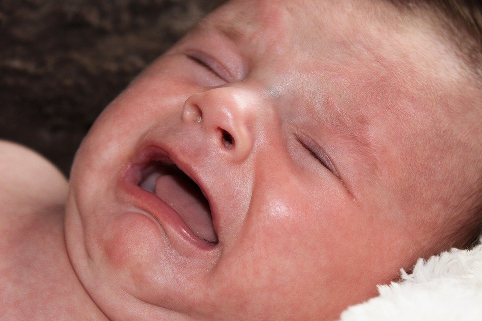 Bebé llorando por el calor │Imagen tomada de: Pixabay