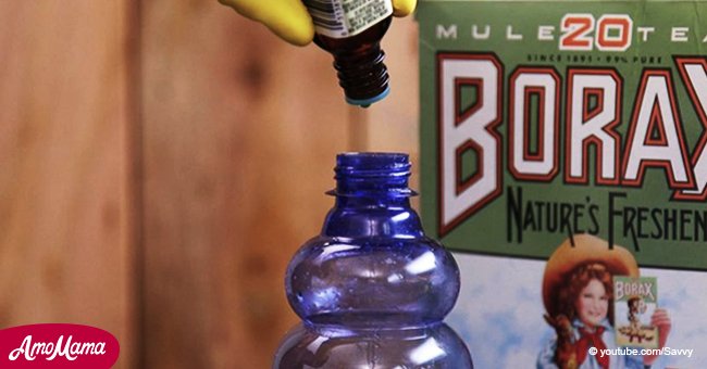 Unexpected uses for Borax that few people know about