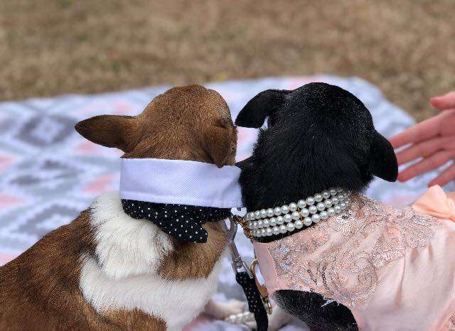 Pee Wee y Zachary durante su boda.  | Foto: Facebook / Adoption First Animal Rescue