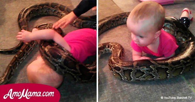 A giant snake wraps around a child, but the father does nothing and keeps filming