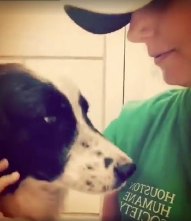 Imagen tomada de: Video-Facebook/Houston Humane Society