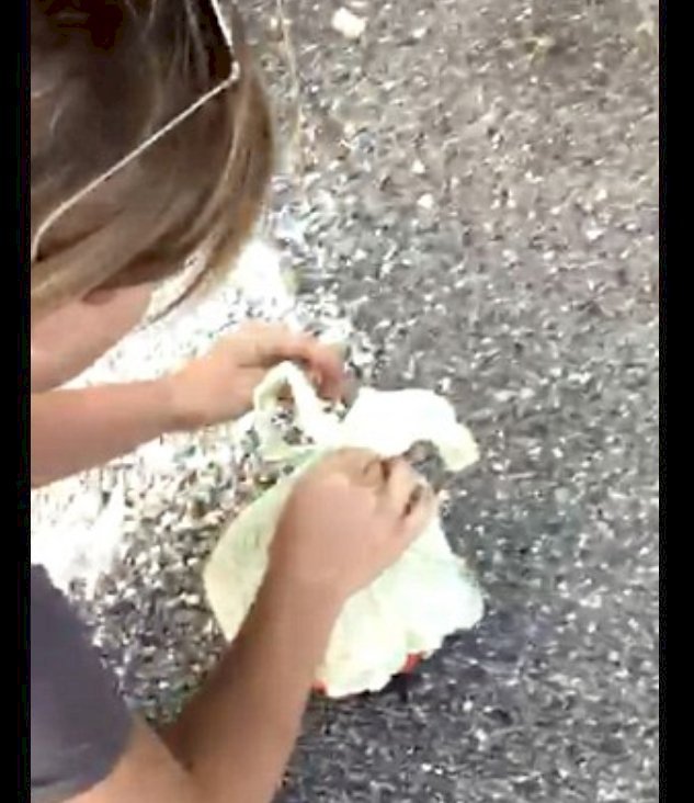 Imagen tomada de: Youtube/Caters Clips