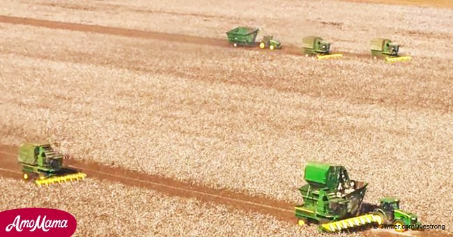 Cancer-stricken Texas farmer couldn't harvest his crop, but his neighbors stepped in to help him