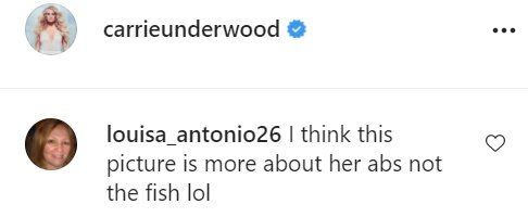 A fan's comment on a picture posted by Carrie Underwood | Photo: Instagram/carrieunderwood
