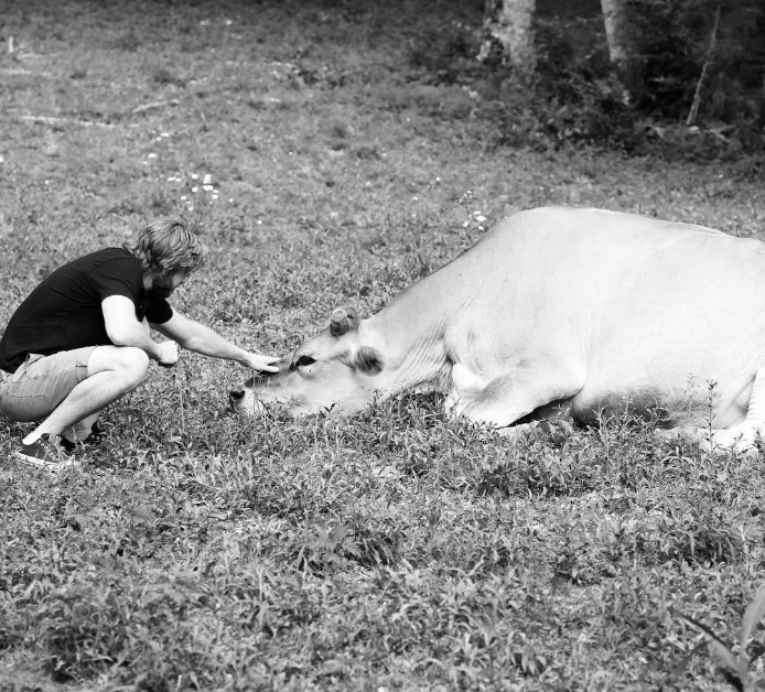 Liam Hemsworth petting a bull as seen in a photo posted on October 26, 2018 | Source: Instagram/liamhemsworth