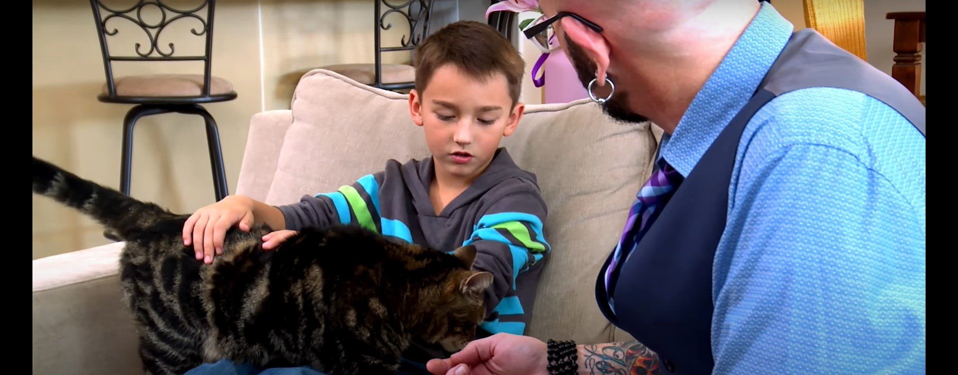 Jackson Galaxy trifft Tara: Die Heldenkatze, die einen angreifenden Hund abwehrte | Quelle: youtube.com/user/AnimalPlanetTV Jackson Galaxy trifft Tara: Die Heldenkatze, die einen angreifenden Hund abwehrte | Quelle: youtube.com/user/AnimalPlanetTV