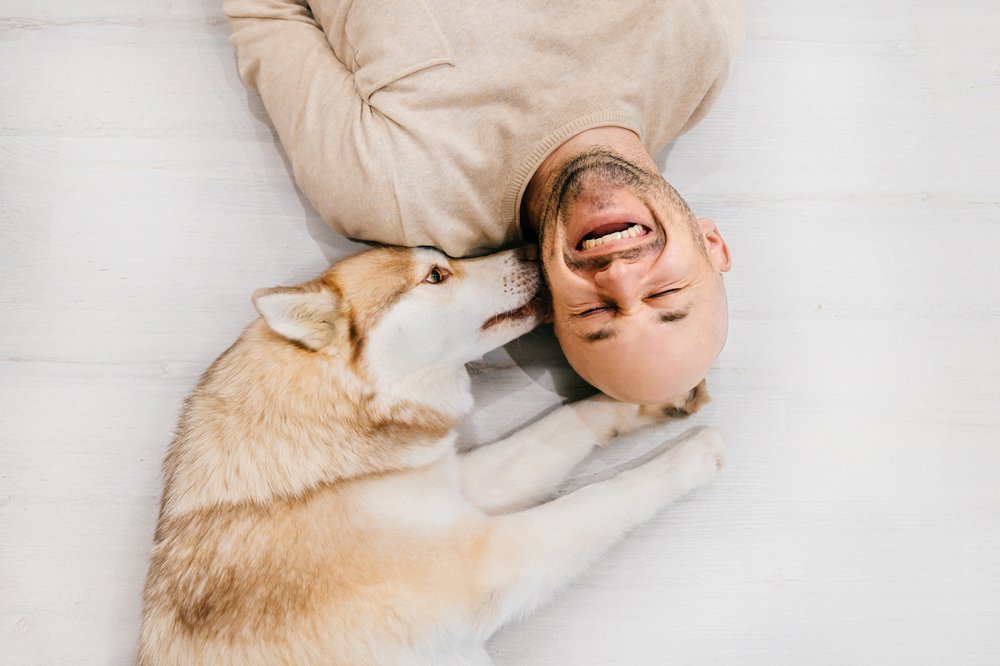 Un homme adulte riant, heureux sur le plancher en bois tout en recevant l'amour de son ami chien. | Shutterstock