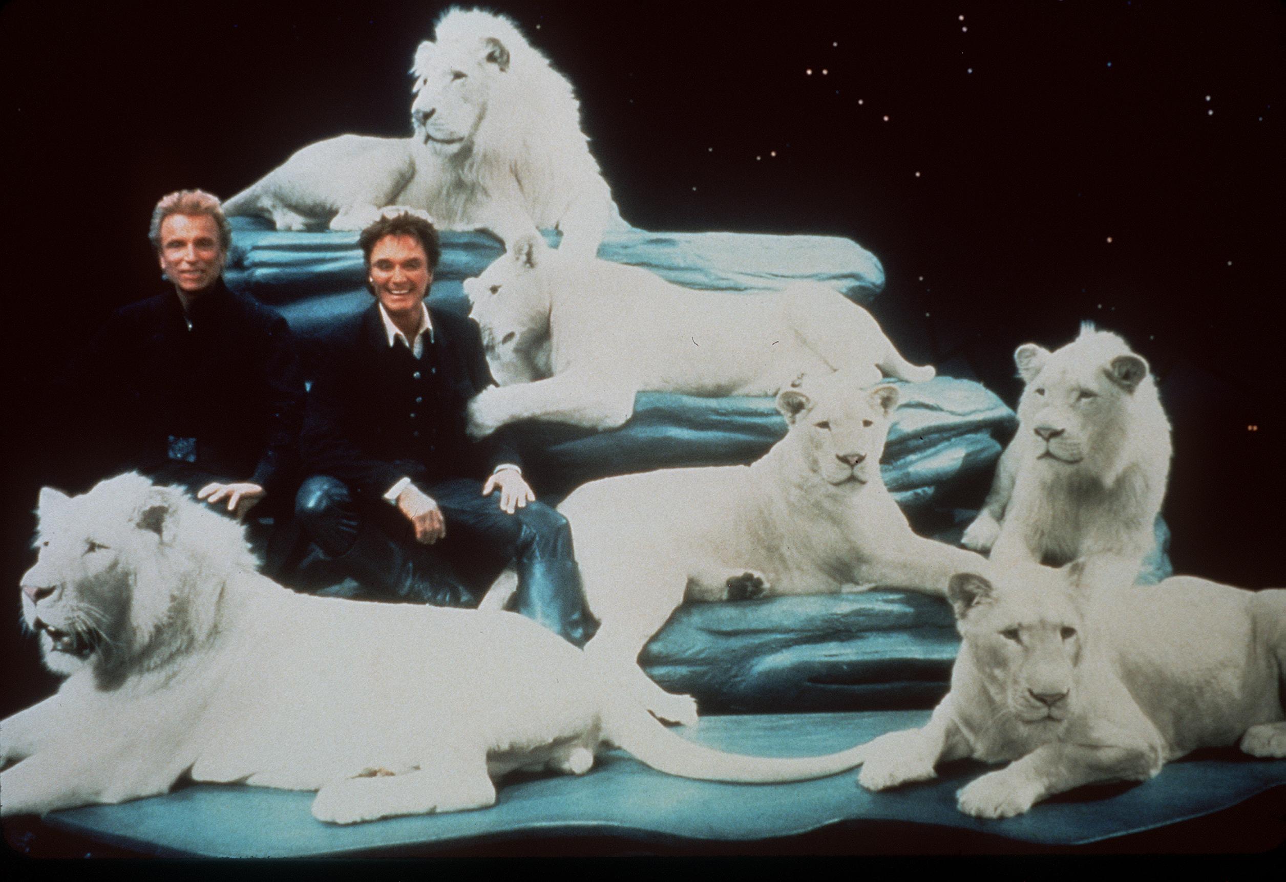 Siegfried & Roy mit ihren weißen Löwen 1999 in Las Vegas | Quelle: Getty Images