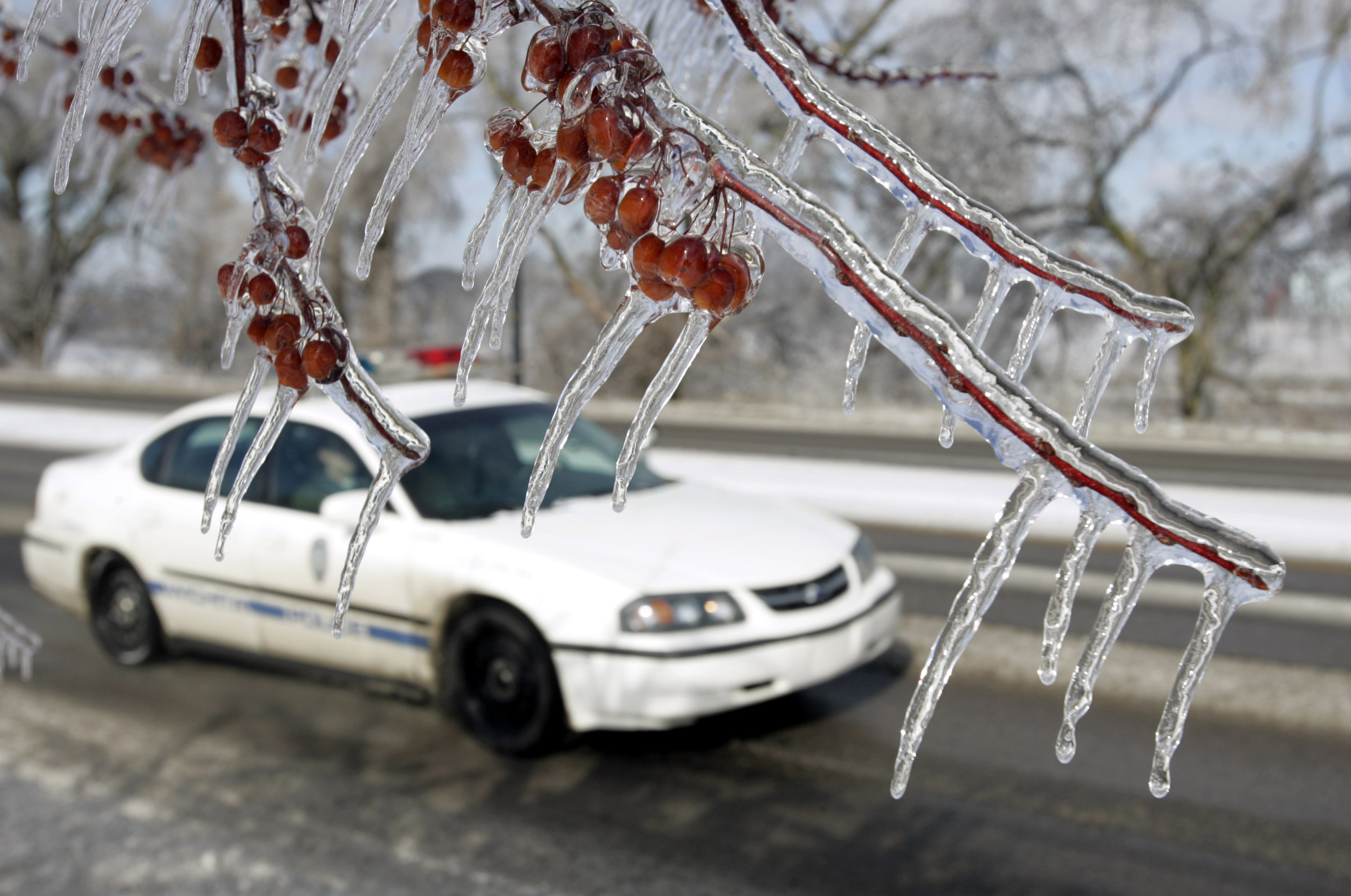 A Wichita police car passes frozen tree branches in Wichita on January 6, 2005 | Source: Getty Images