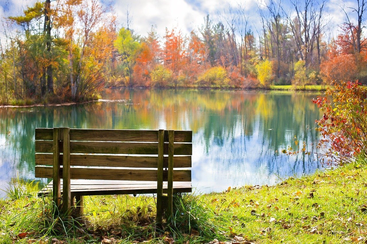 A bench by a pond. Image credit: Pixabay