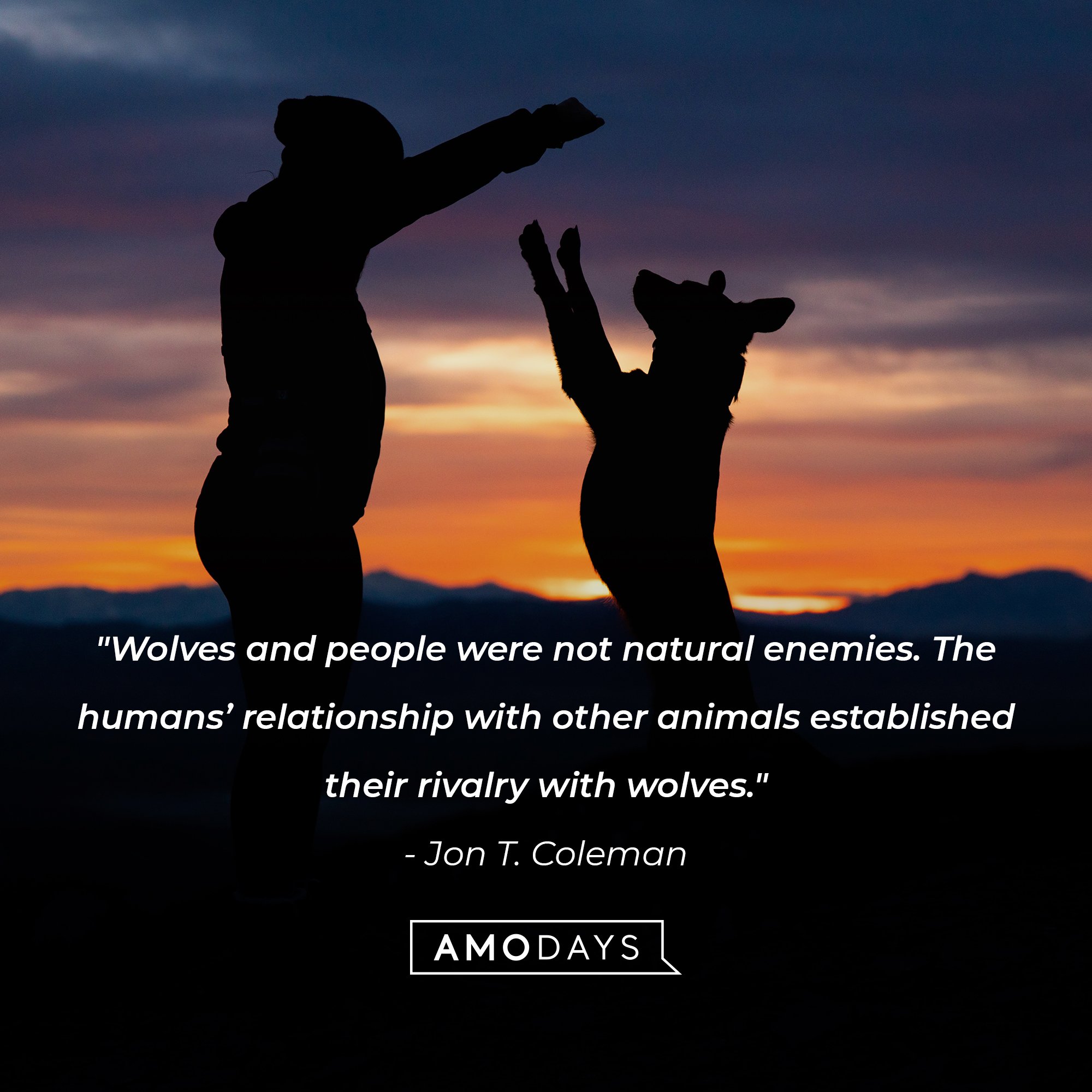  Jon T. Coleman's quote: "Wolves and people were not natural enemies. The humans’ relationship with other animals established their rivalry with wolves." | Image: AmoDays