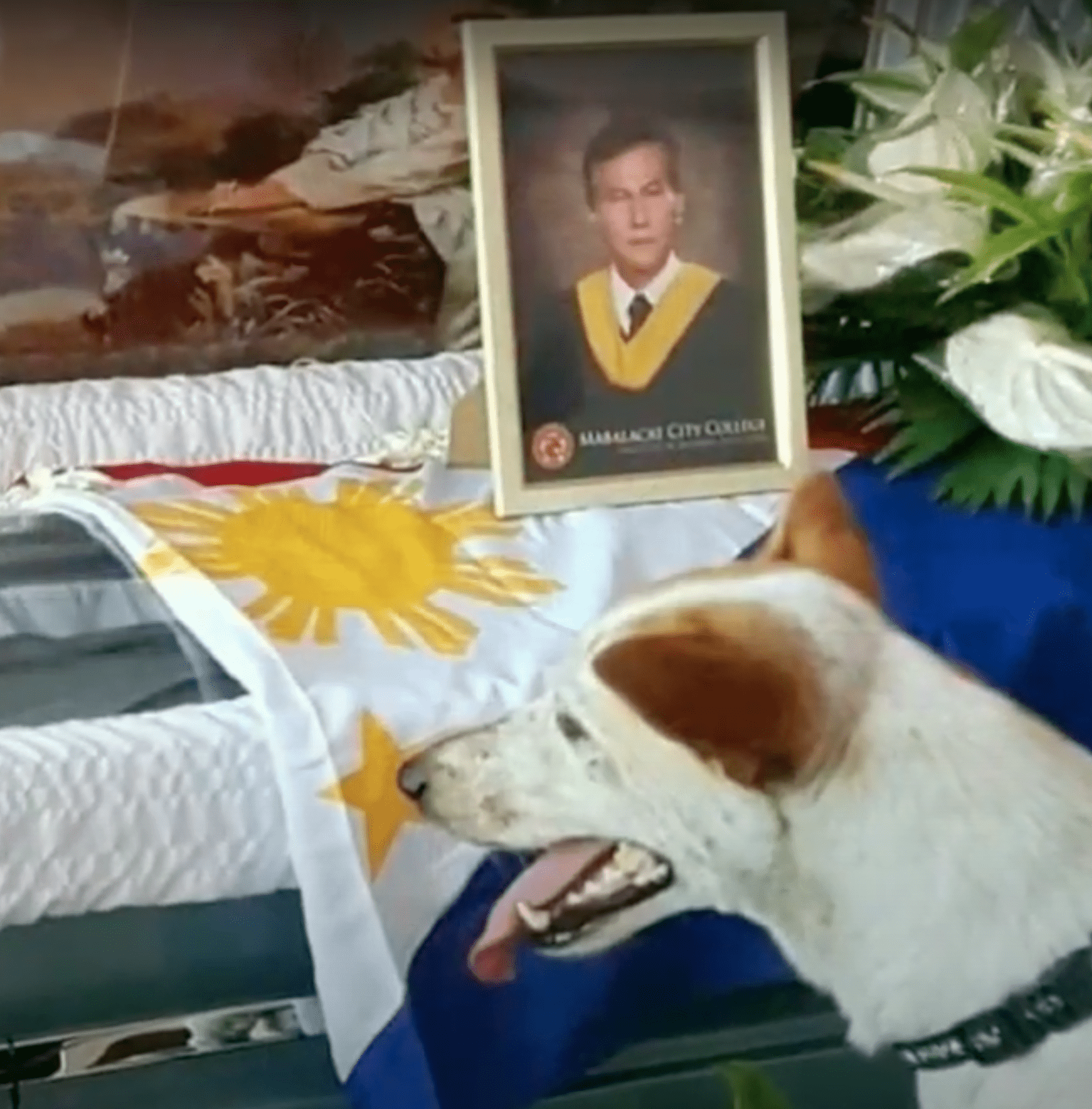 Dog sits in front of his human friend's coffin | Source: Youtube/CALMA Vlogs