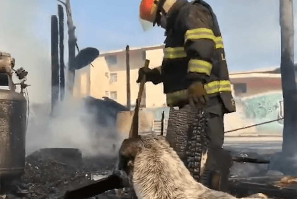 Manchas llorando por su casa. │Foto: YouTube / RT en Español