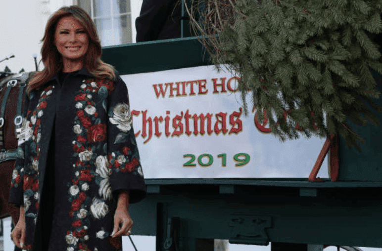 Melania Trump waits by a horse and carriage as she receives the 2019 White House Christmas Tree at the North Portico of the White House, on November 25, 2019, in Washington, DC | Source: Alex Wong/Getty Images