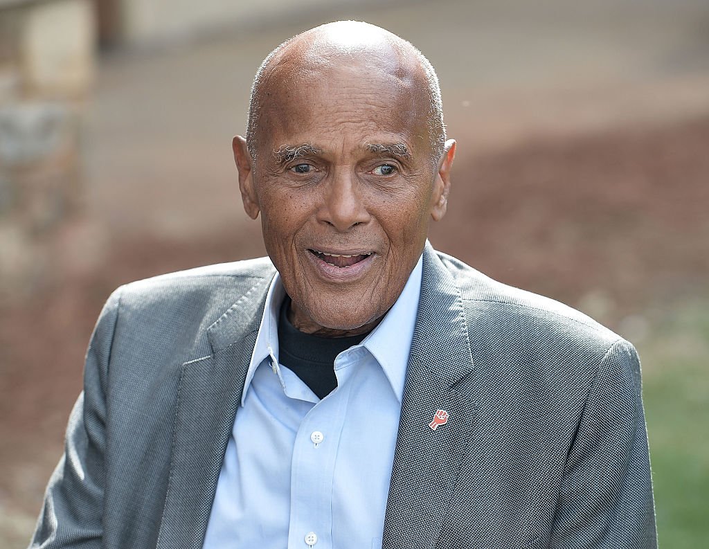 Harry Belafonte attends 2016 Many Rivers To Cross Festival at Bouckaert Farm on October 2, 2016. | Photo: Getty Images
