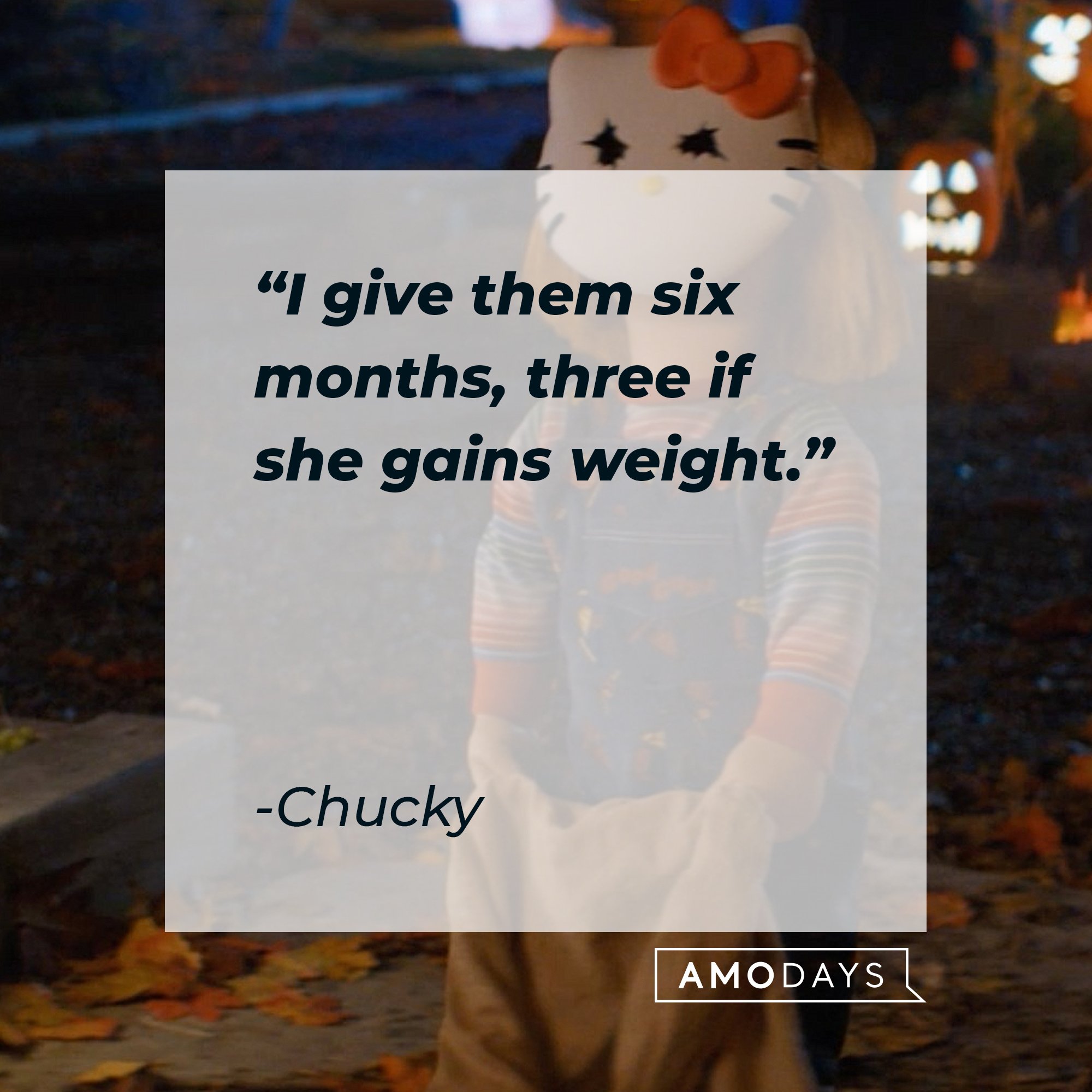 Chucky's quote: "I give them six months, three if she gains weight." | Image: AmoDays