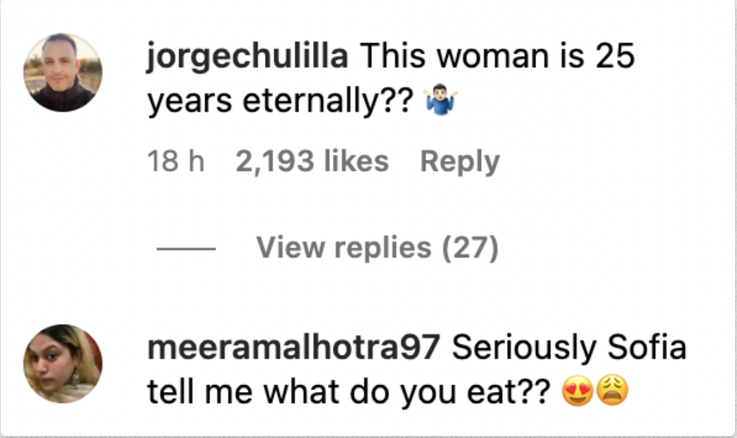 Screenshot of comments on Sofia Vergara's Instagram post. | Source: Instagram/SofiaVergara