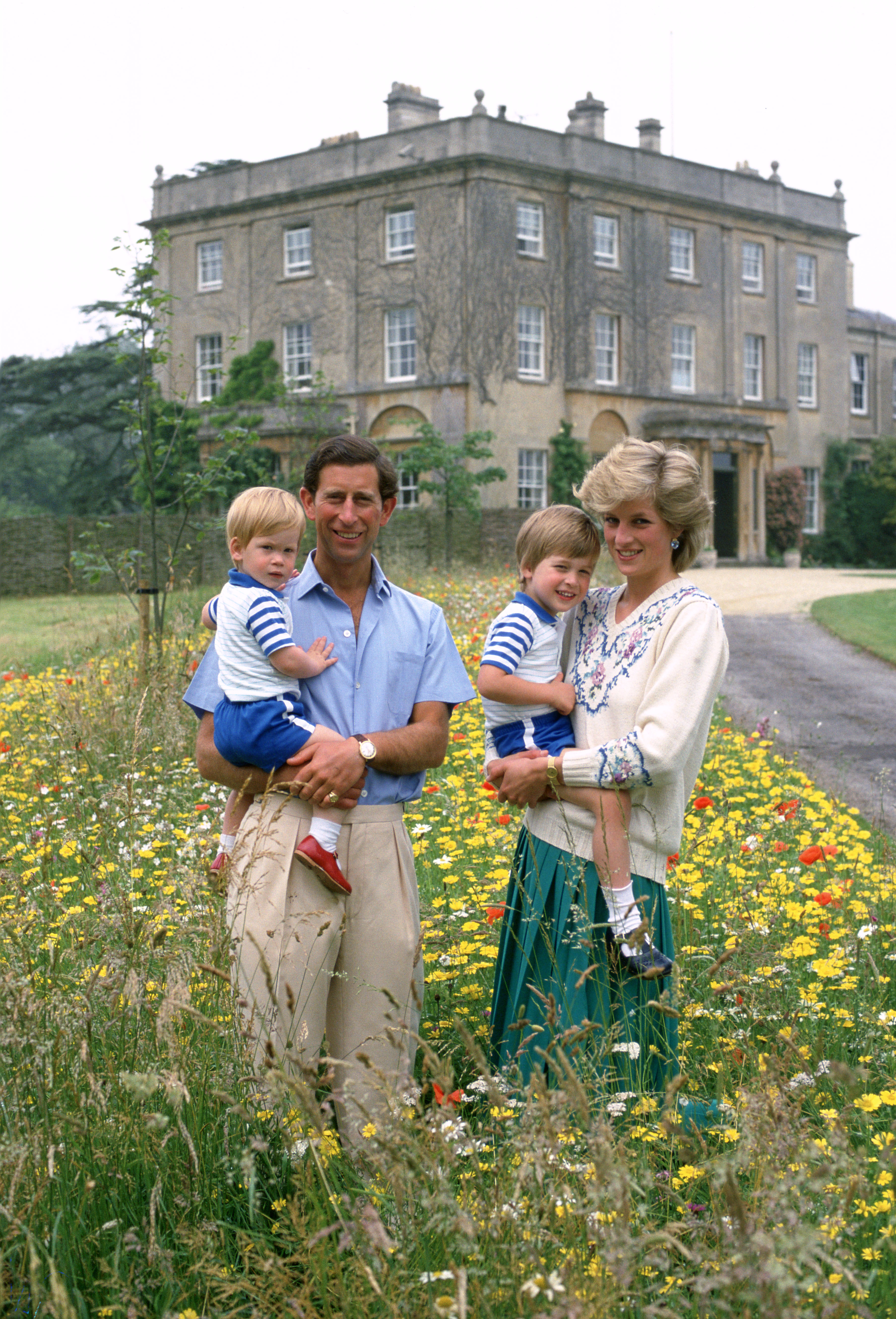 Prinz Charles und Prinzessin Diana posieren mit ihren Söhnen Prinz William und Prinz Harry auf der Wildblumenwiese in Highgrove am 14. Juli 1986 in Tetbury, England | Quelle: Getty Images