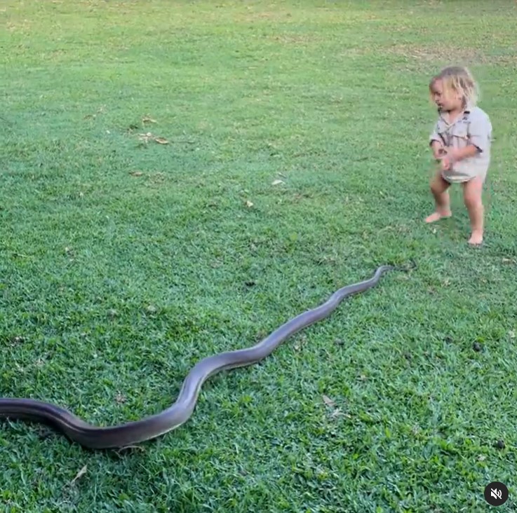 Matt Wright's son, Banjo, playing with a snake on September 30, 2021 | Source: Instagram/mattwright