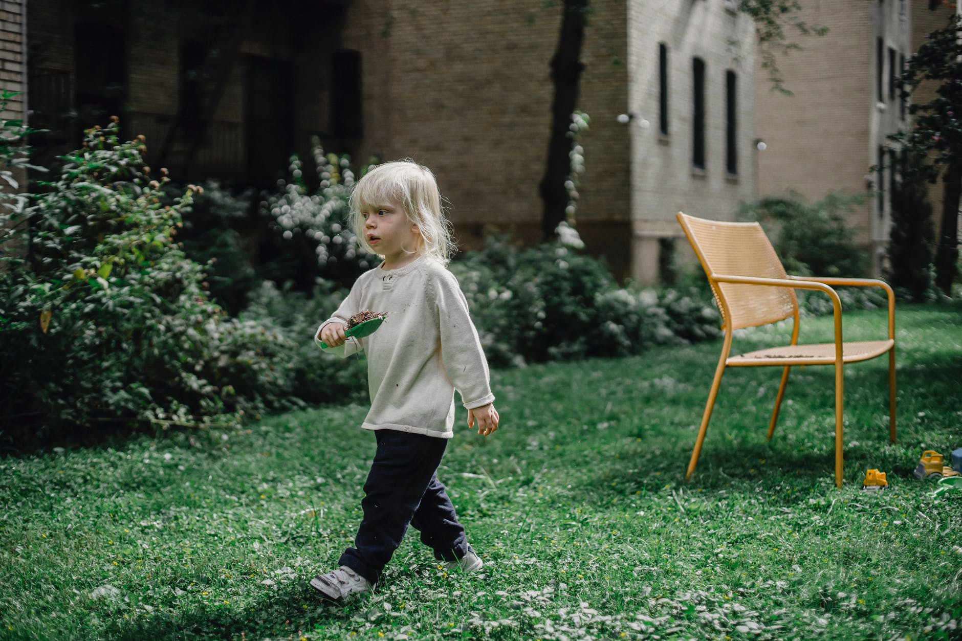 A little boy in the garden who looked just like him. | Source: Pexels