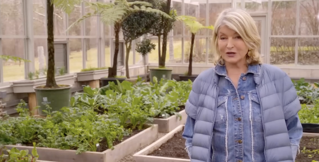 Martha Stewart pictured inside her greenhouse at her New York farm. | Source: Instagram/marthastewart48