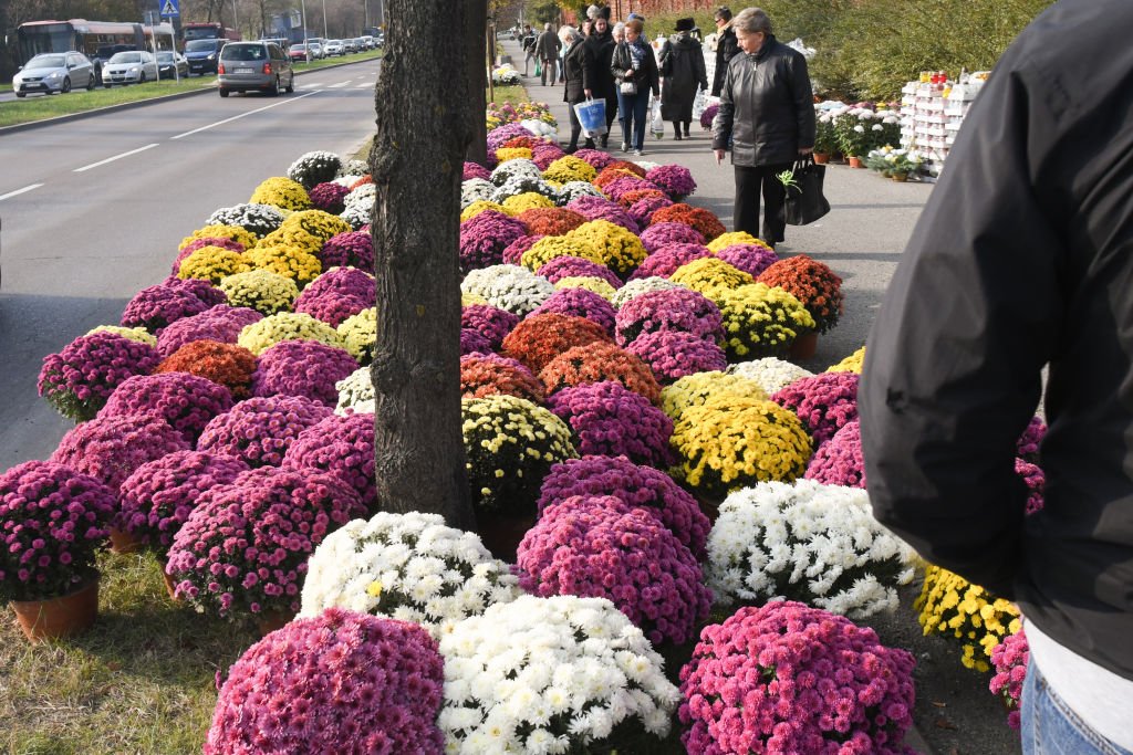 Magnifiques fleurs | Photo : Getty Images
