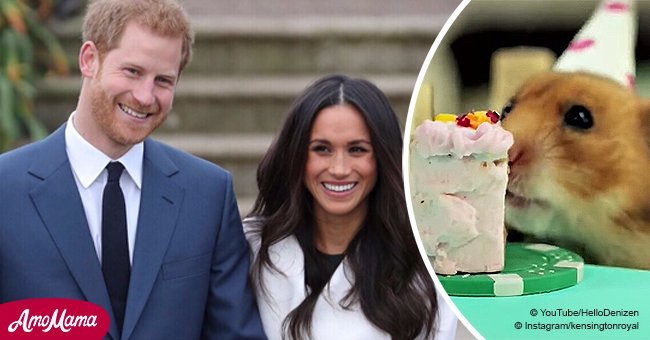 Prince Harry compared to a hamster in bitter birthday message from Meghan Markle's sister