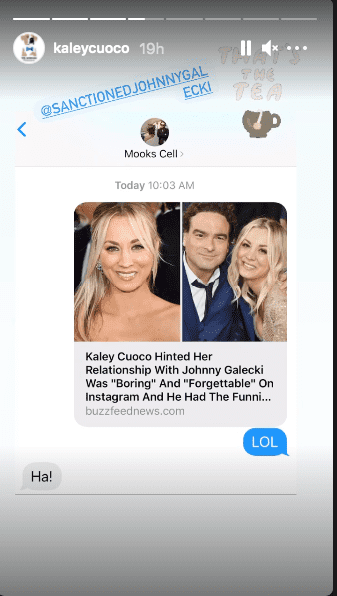 Screenshot of Kaley Cuoco's Instagram Story. | Photo: Instagram/Kaley Cuoco