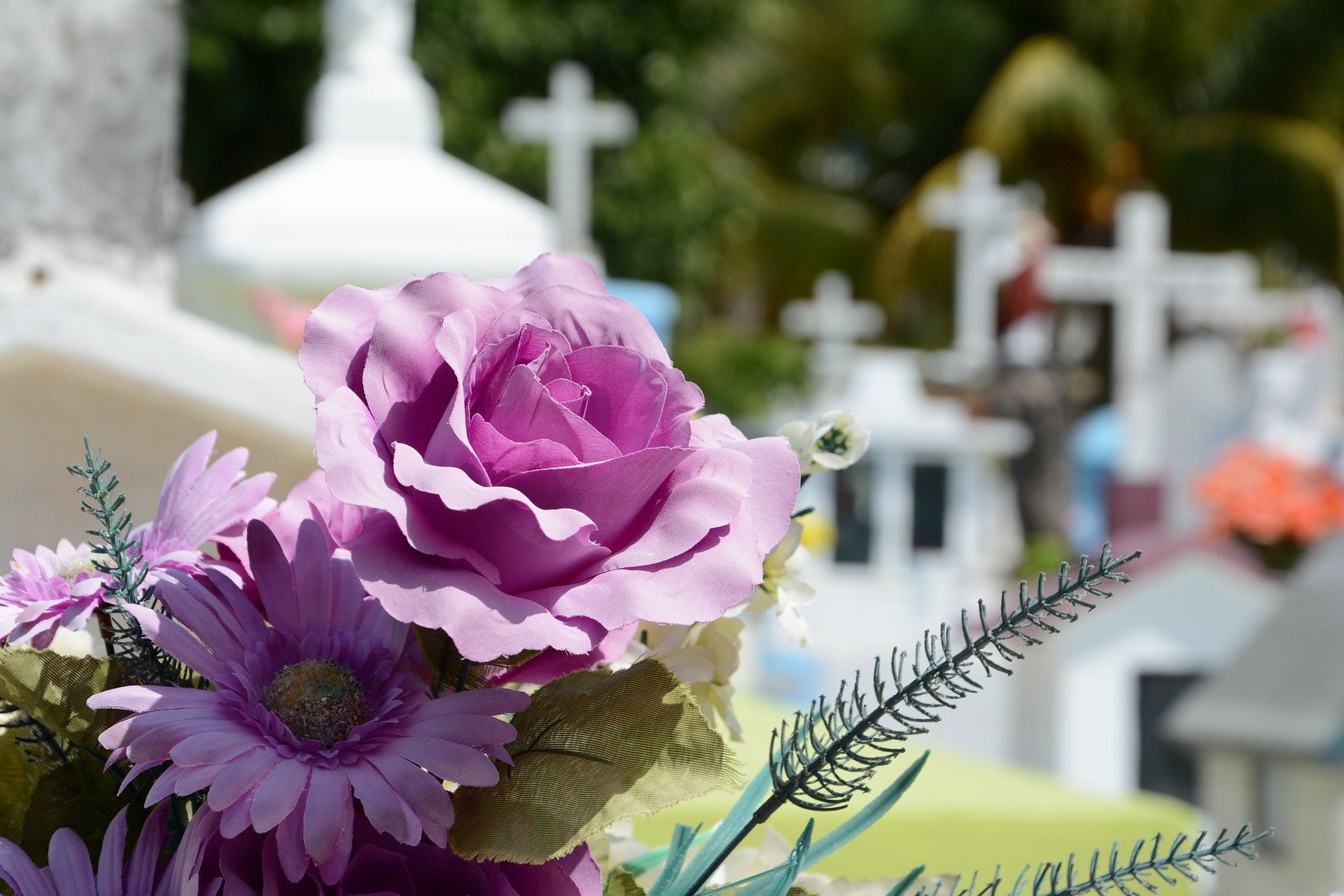 Photo of a beautiful flower at a graveyard. | Photo: Getty Images