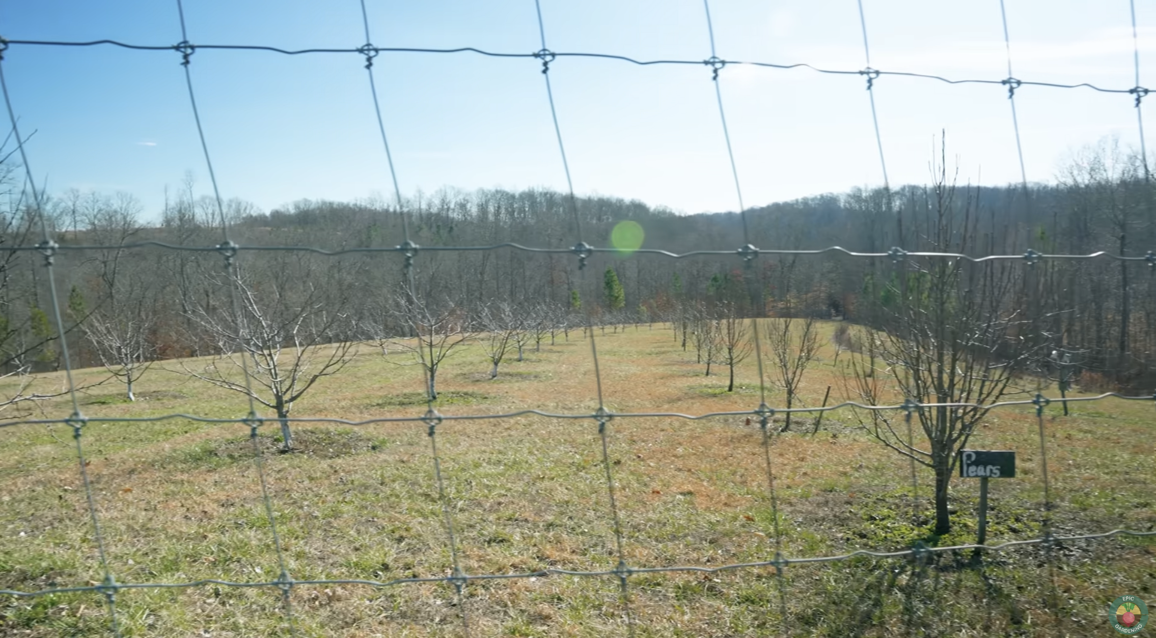 Carrie Underwood's orchard on February 18, 2023, in Franklin, Nashville. | Source: YouTube/EpicGardening