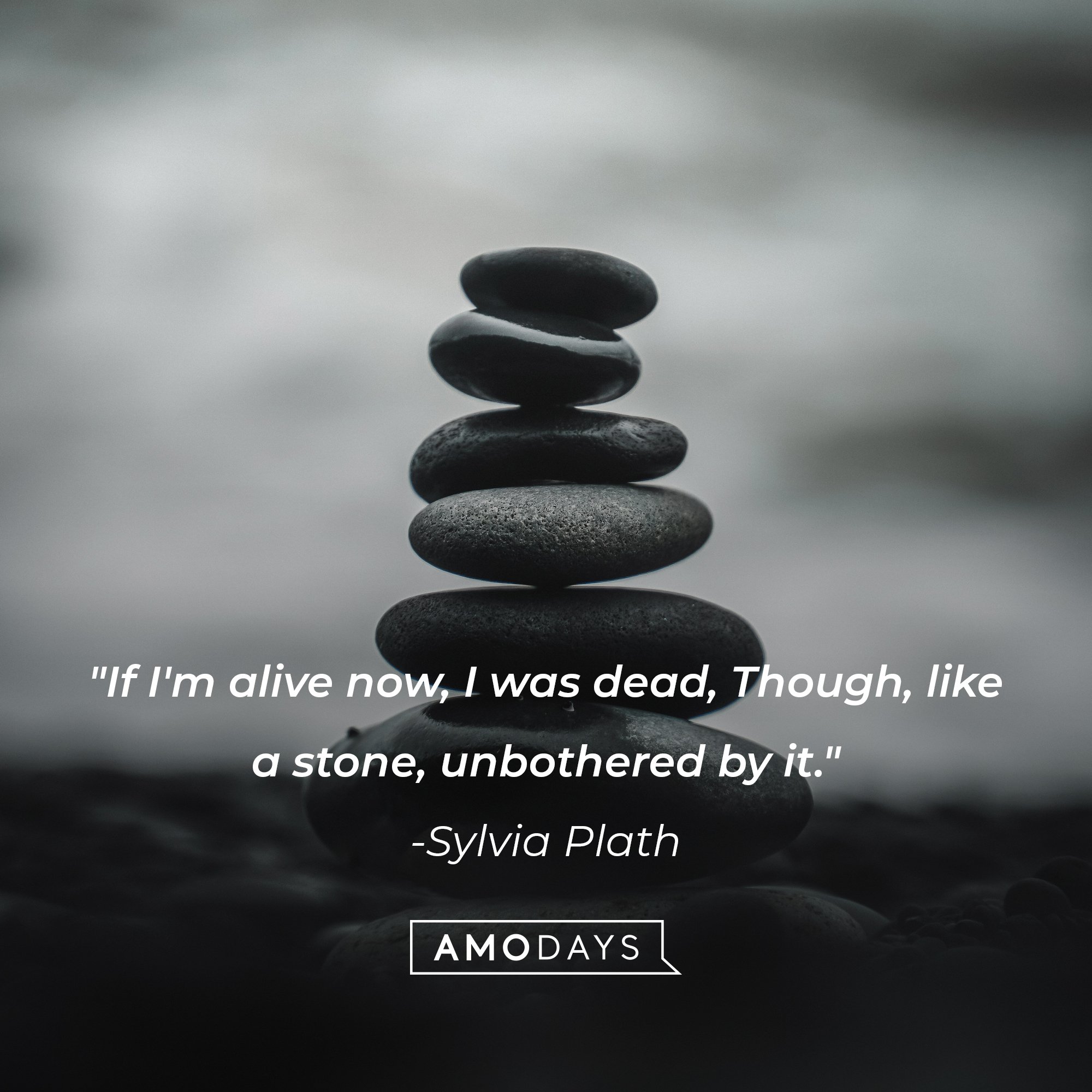  Sylvia Plath’s quote: "If I'm alive now, I was dead, Though, like a stone, unbothered by it." | Image: AmoDays