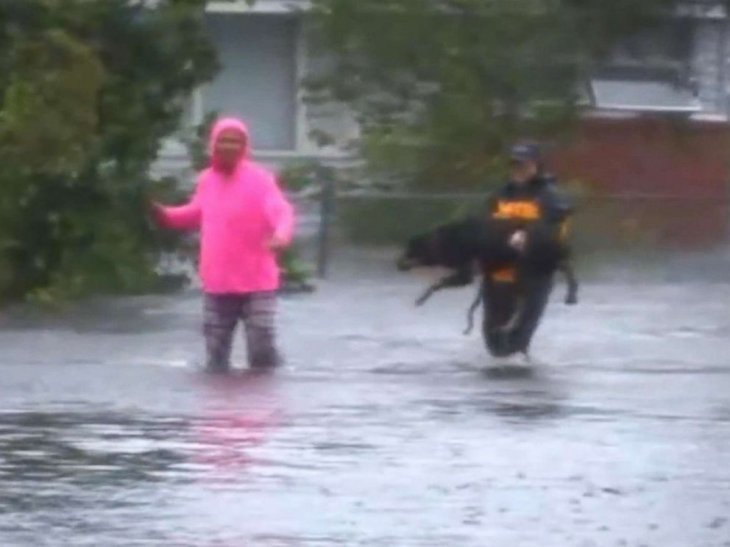 Hurricane Florence dog rescue