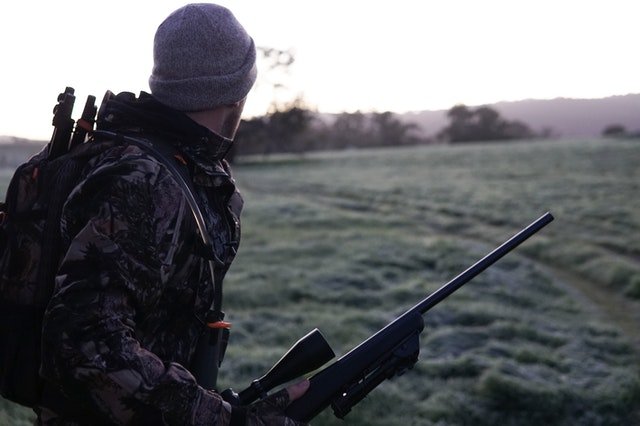 Un chasseur avec un fusil dans la forêt | Photo : Pexels Un chasseur avec un fusil dans la forêt | Photo : Pexels