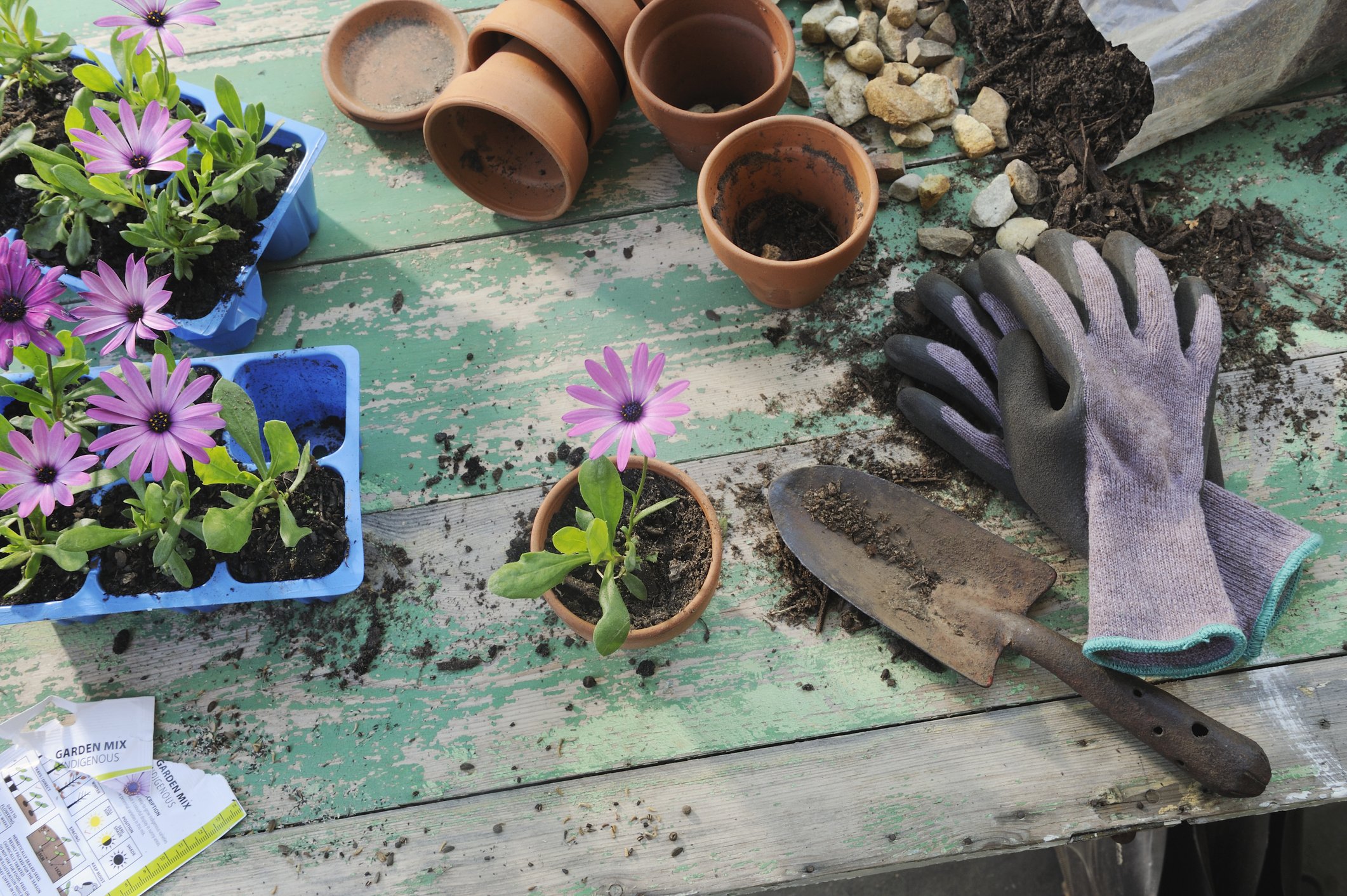 Craft persons workspace (gardening)  | Photo: Getty Images