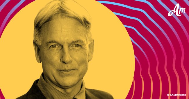 CBS bosses thrill fans of 'NCIS' with a recent announcement regarding Mark Harmon