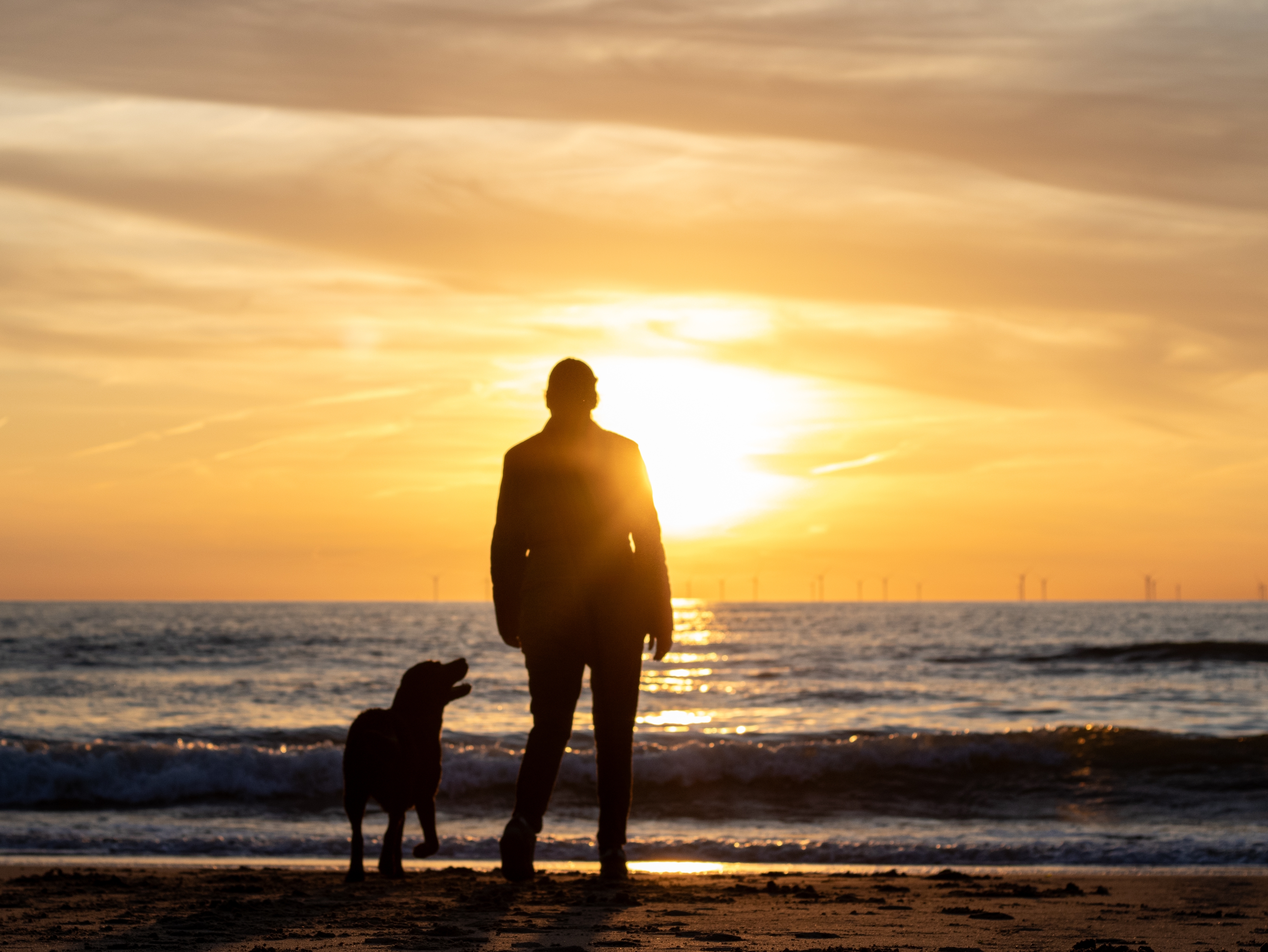 A silhouette of a man and his dog at the beach during sunset | Source: Shutterstock